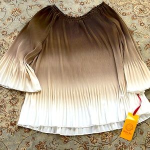 🎉PRICE -DROP RUBY RD OMBRÉ PLEATED BLOUSE